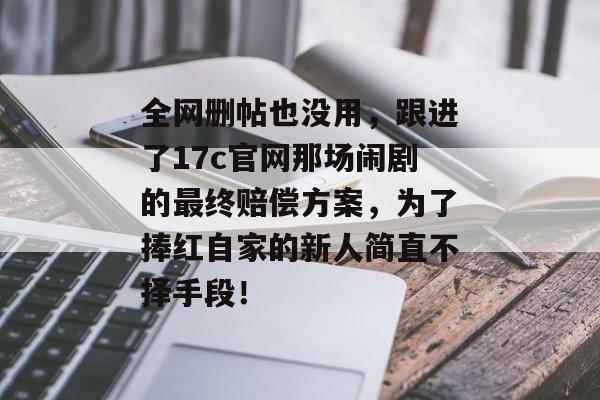 全网删帖也没用，跟进了17c官网那场闹剧的最终赔偿方案，为了捧红自家的新人简直不择手段！